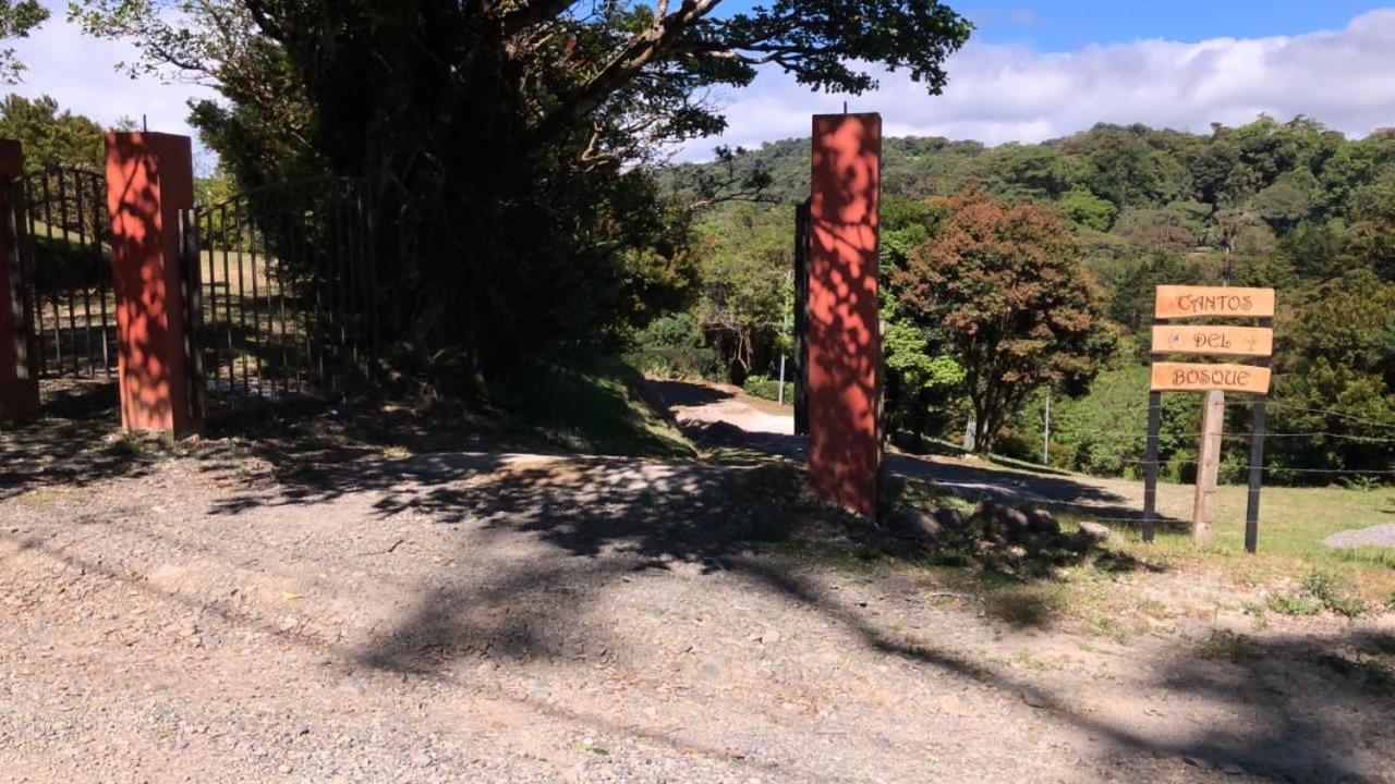 Cantos Del Bosque Monteverde Dış mekan fotoğraf