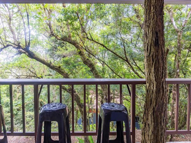 Cantos Del Bosque Monteverde Dış mekan fotoğraf