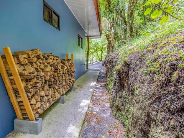Cantos Del Bosque Monteverde Dış mekan fotoğraf