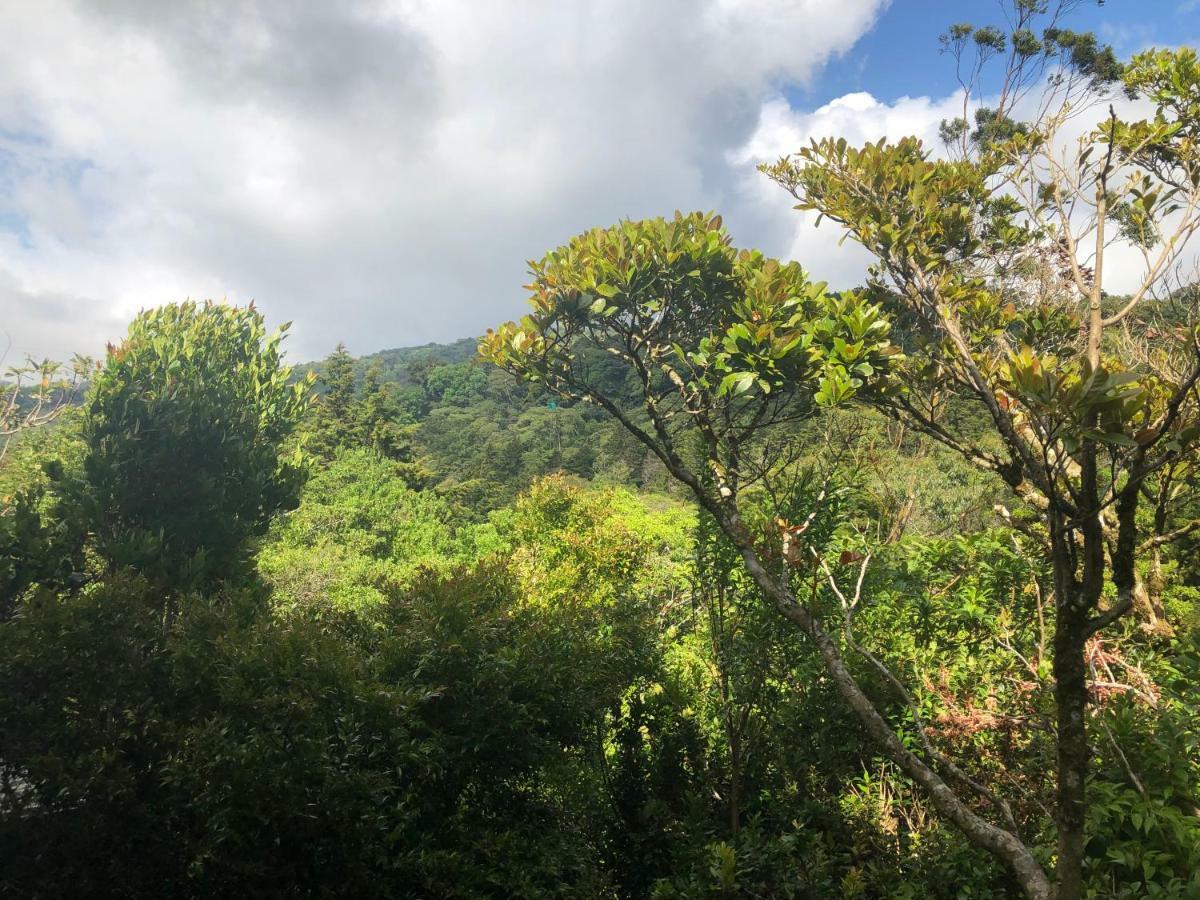 Cantos Del Bosque Monteverde Dış mekan fotoğraf