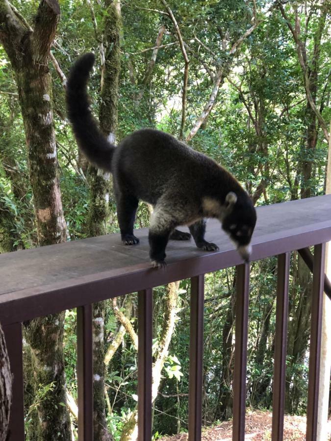 Cantos Del Bosque Monteverde Dış mekan fotoğraf